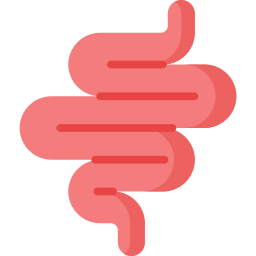 Intestine icon