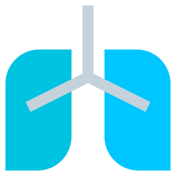 płuco ikona