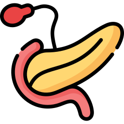 pankreas icon