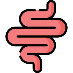 intestino icona