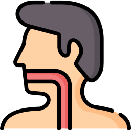 Esophagus icon