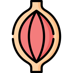 muskel icon