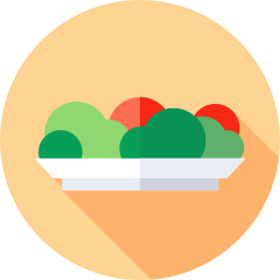 Salad icon