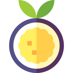 Passion fruit icon