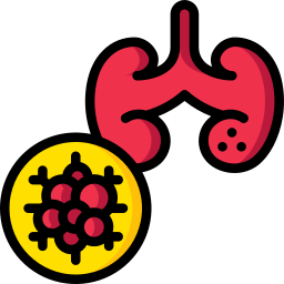 Kidneys icon