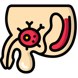 prostate Icône