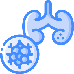 Kidneys icon