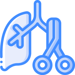 Lung icon