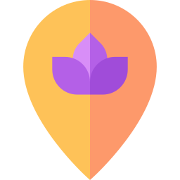 Location icon