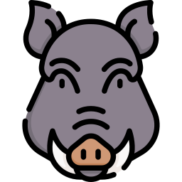 Boar icon