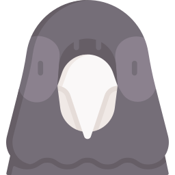 Pigeon icon