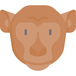 macaco Ícone