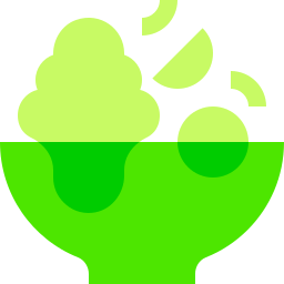 Salad icon