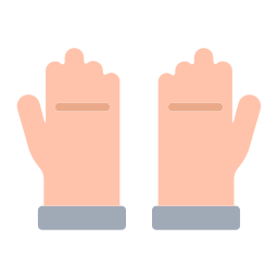 Gloves icon