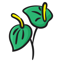 Arum lily icon