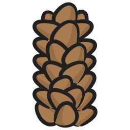 Pine cone icon