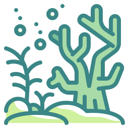 Coral icon