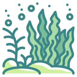 algas marinhas Ícone
