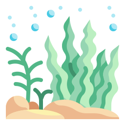 algas marinhas Ícone