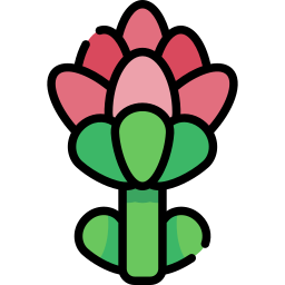 protea icon