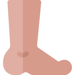 Foot icon