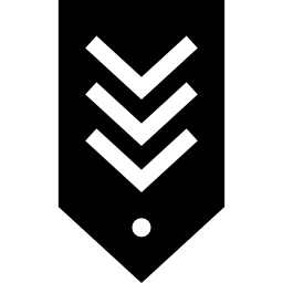 chevron icon