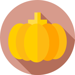 Pumpkin icon