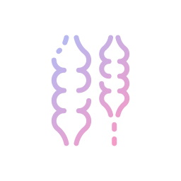 colon icona