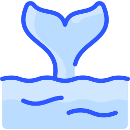 Whale icon