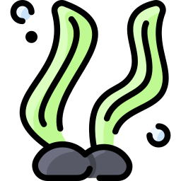 alga marina icona