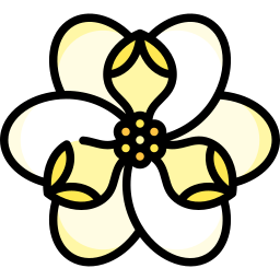 magnolia ikona