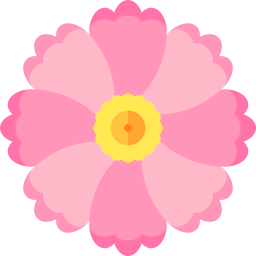 cosmo rosa icona