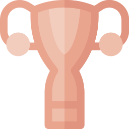 Uterus icon