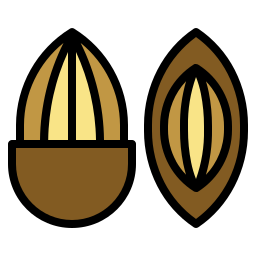 Almond icon