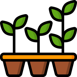 Seedlings icon