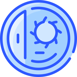 Coin icon