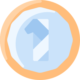 Coin icon