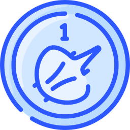 Coin icon