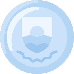 Coin icon