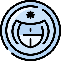 Coin icon