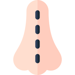 rinoplastia icono