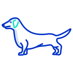 dachshund Ícone