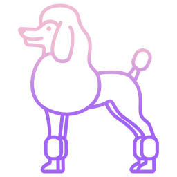 Poodle icon