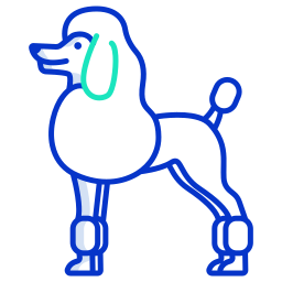 poodle Ícone