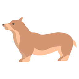 Corgi icon