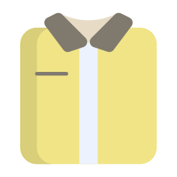 Shirt icon