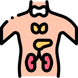 Endocrine system icon