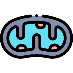 Mitochondria icon