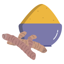 Turmeric icon