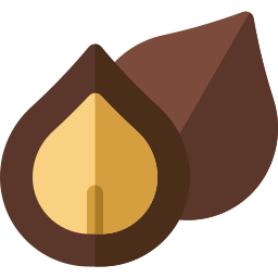Macadamia nut icon